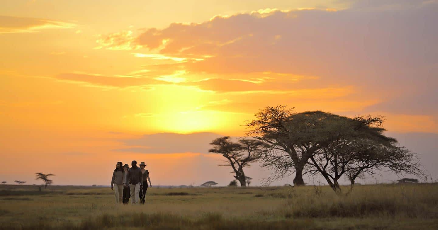 SERENGETI NATIONAL PARK