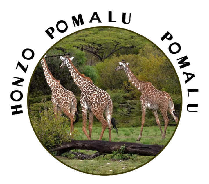 Honzo pomalu pomalu logo